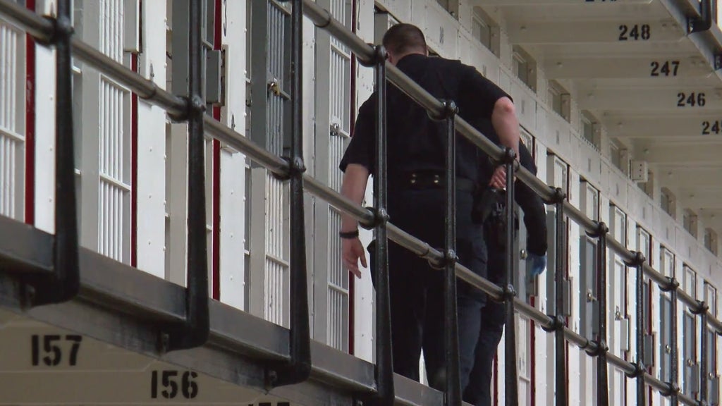 More than two dozen Georgia prisons on lockdown over security concerns following inmate fight — Milton Health news