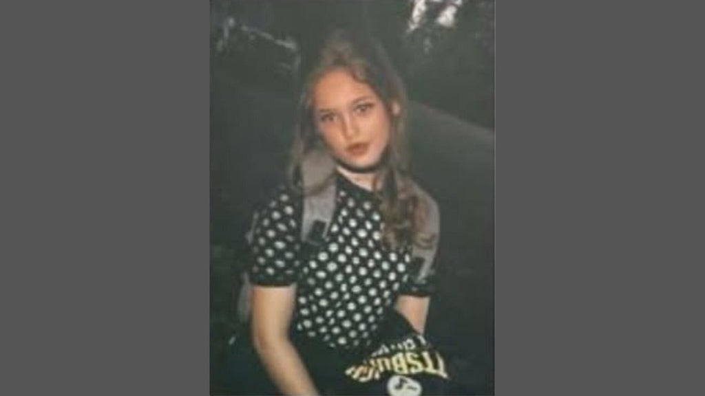 FBI joins search for Georgia 16-year-old girl who has been missing for over a week — Milton Community news